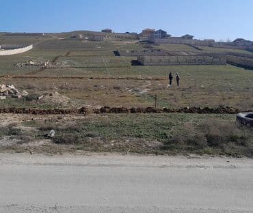 купить земельный участок в баку: 60 sot, Mülkiyyətçi, Kupça (Çıxarış) — 1