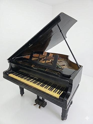 antikvar: Royal, Akustik — 5