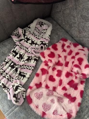 sharm: Ev heyvanları üçün tam aksesuar dəsti - Avtomobil üçün it/piar üçün — 6