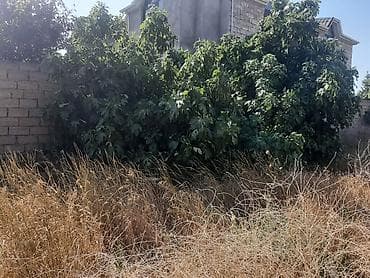 maştağa kiraye: 4 sot, Tikinti, Kupça (Çıxarış) — 4