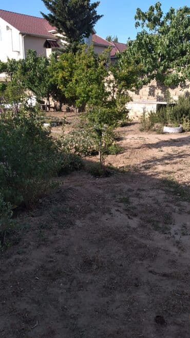 guven emlak mingecevir: Buzovna vişnovka .Tam dolu satlir eşyalarla birlikde — 16