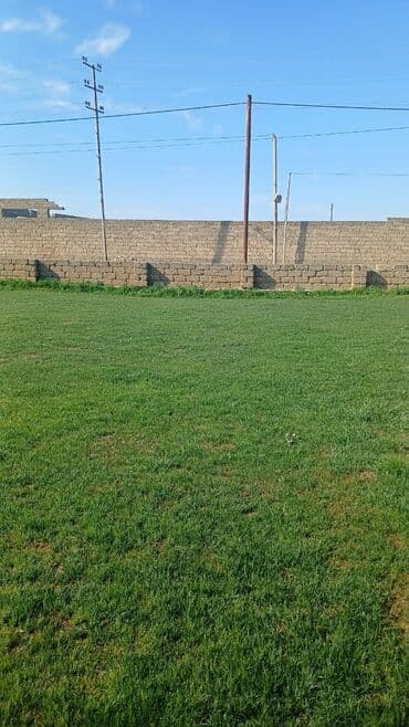 qubada torpaq satilir 2020: 16 sot, Kupça (Çıxarış) — 1