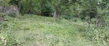 купить бак для воды: 12 sot, Kənd təsərrüfatı, Barter mümkündür, Kupça (Çıxarış), Texniki pasport — 1