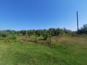 xacmaz rayonu qusarcay kendi: Kənd təsərrüfatı, Mülkiyyətçi, Kupça (Çıxarış) — 4