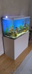 qızıl balıqlar: Akvarium-şkaf, Boş, 270 l, Ödənişli çatdırılma — 2