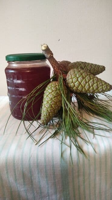 ağ zoğal: Asma bronxit ağ ciyər xəstəliklərinin müalicəsində istifadə olunur — 1