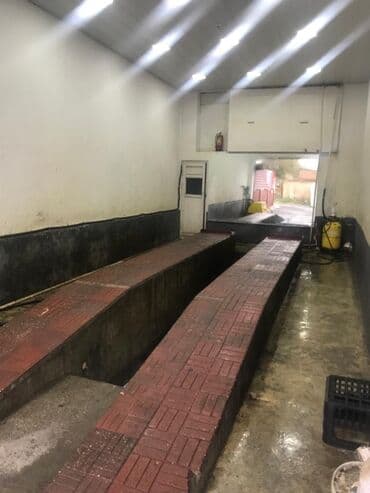 seki emlak: Yer olaraq cox gozeldi her bir seyaiti var Hal hazirda arendadadi — 7