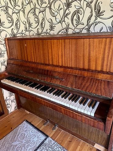 elektron gitara per page 40: Piano, Akustik, İşlənmiş, Ünvandan götürmə — 3