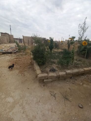 sabuncuda: Sabunçu qəs. 5 otaqlı, 140 kv. m, Kredit var, Təmirsiz — 4