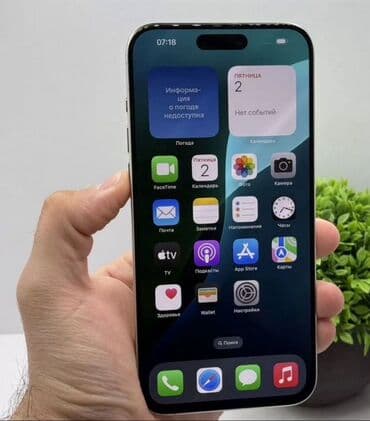 Информатика: IPhone 15 Pro Max, 256 ГБ, Серебристый, Face ID — 2