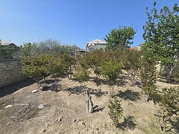 xacmaz torpaq satışı: Tikinti, Mülkiyyətçi — 7