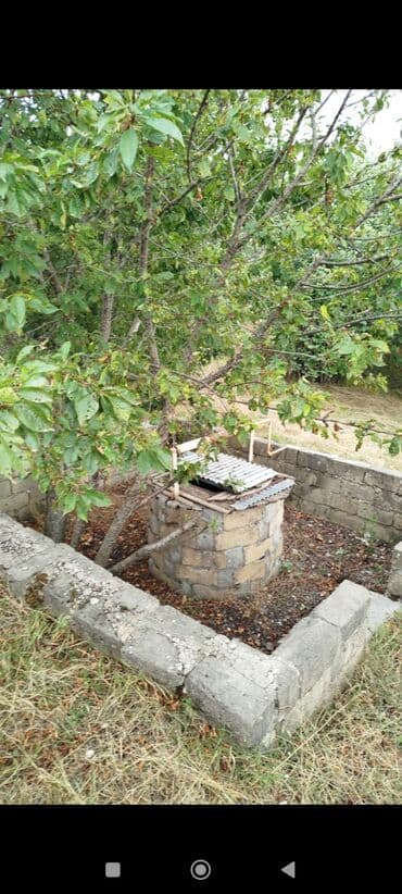 sumqayıtda satılıq torpaqlar: 12 sot, Kənd təsərrüfatı, Mülkiyyətçi, Kupça (Çıxarış) — 3