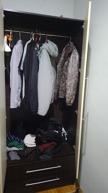 2 qapılı, Güzgülü, Qəhvəyi, Taxta, Açılan, Düz dolab — 2