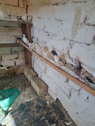 quş yuvasi: 4 manat Təsvir: - Növlər: müxtəlif rəng və naxışlarda ev/oyun — 22