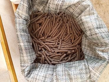 ucuz toyug: Heyvan yemi – taxıl əsaslı peletlər Semiçqa şirotu - Forma: silindrik — 1