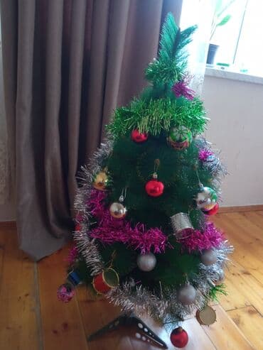 avokado ağacı: Yolkanın hundurluyu. 95 sm üstünde iqruşkalarla birlikdə bele — 5