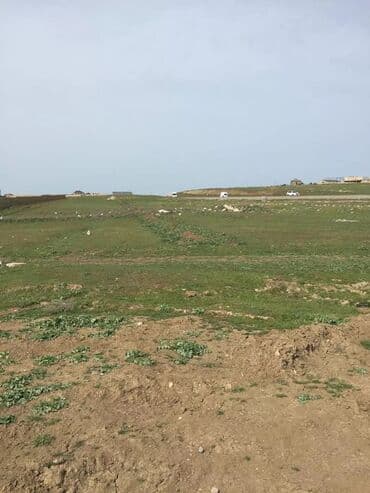 тап аз недвижимость: Tikinti — 7