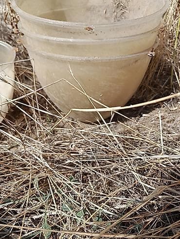 rengli guller: Böyük plastik çiçək qabı.4 dənədir Böyük qablardır Böyük bağlara və — 4