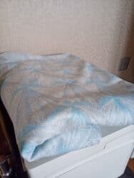 İnformatika: Parçalar hər biri 10 Azn — 8