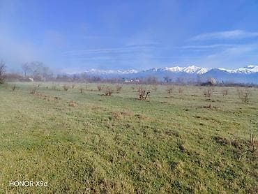qebele torpaq: 30 sot, Kənd təsərrüfatı, Mülkiyyətçi, Texniki pasport — 6