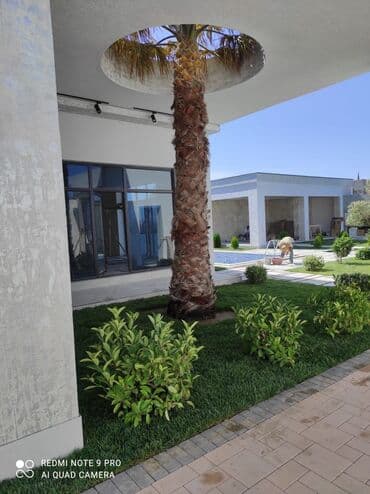 ağ dırnaq modelleri: Landşaft dizayin ummi abadliq qazon agaclar gul ciceklerlə bağlarin — 14