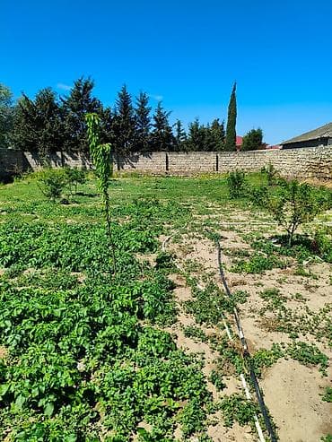 evler satisi: 9 sot, Tikinti, Barter mümkündür, Kupça (Çıxarış) — 3
