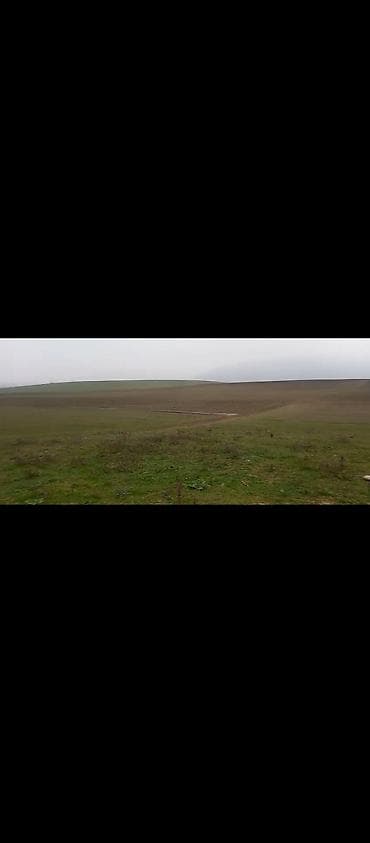 20 ci sahe: 10 sot, Tikinti, Kupça (Çıxarış) — 4