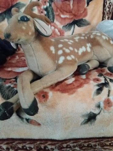 gl ltd baku: Maral iridir — 3