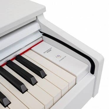 стул для пианино: Piano, Rəqəmsal, Pulsuz çatdırılma, Ödənişli çatdırılma, Rayonlara çatdırılma — 4