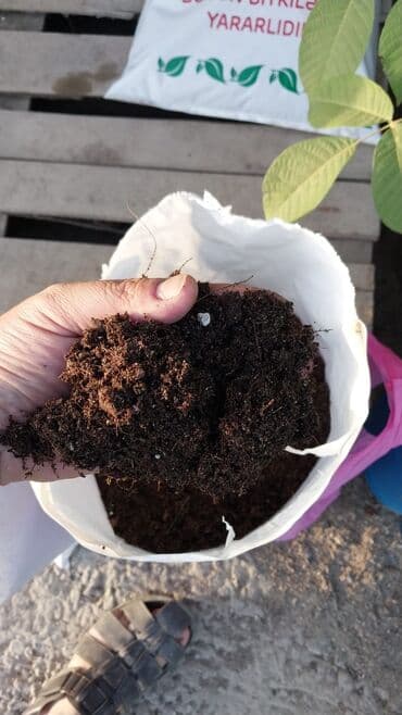 yonca toxum: Torflarin satişi balaken ekolay kkokavit 250litrlik xaricden gelen — 5