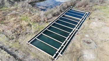 xacmazda torpaq qiymetleri: Təcili satılır. Real alıcı ilə razılaşmaq olar. Xaçmaz rayonu — 15