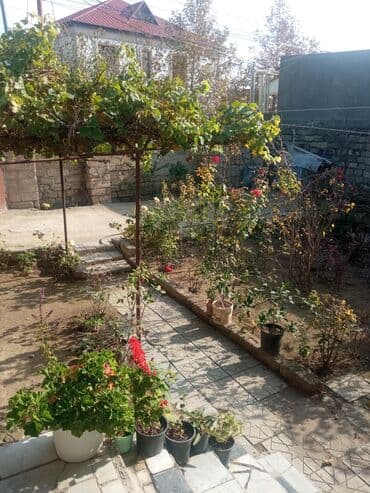 снять комнату в общежитии: Satilr: geniş və işıqlı otaq.2 otaq 1 zal metbex hamam ayaq yolu — 23