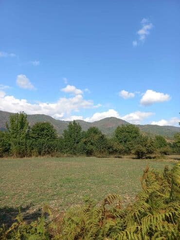 aylıq kirayə evlər bakı: 10 sot, Makler, Kupça (Çıxarış) — 2