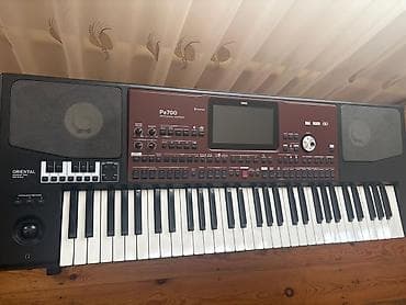 gitara simi: Sintezator, Korg, Yeni — 2