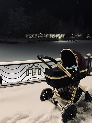 Çıxarıla bilən beşikli araba