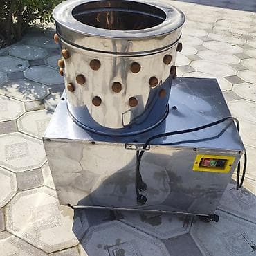 Quşlar: Toyuq yolma maşını. iki aydır alınıb.ünvan; yeni Ramana — 1