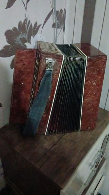 Akkordeonlar: Akkordeon — 2