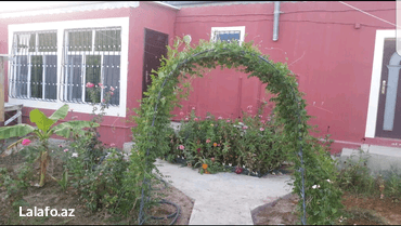 30 kv. m, 1 otaqlı, Kombi, İnternet