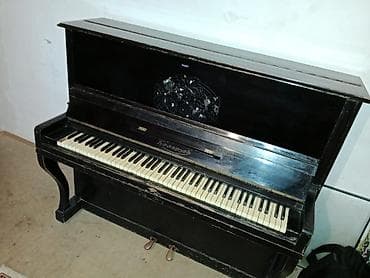 Qarmonlar: Piano, Belarus, Akustik — 1