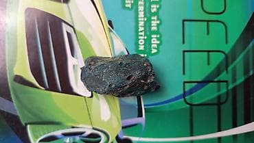 Tavan: Tarixi matiryalar daş dövrünə aid və 50 milyon illik fosil .maraxlanan — 6