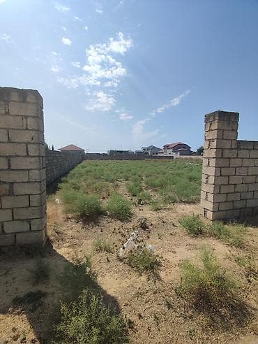 bine sovxoz evler: 5 sot, Kənd təsərrüfatı, Mülkiyyətçi, Bələdiyyə — 6