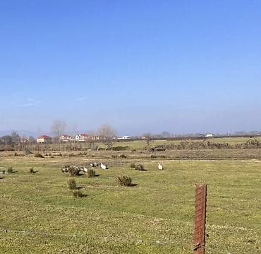 bərdə daşınmaz əmlak: 6 sot, Tikinti, Mülkiyyətçi, Kupça (Çıxarış) — 1