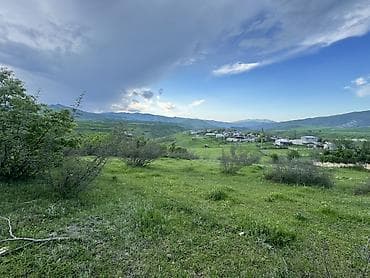 23 sot, Tikinti, Kupça (Çıxarış)