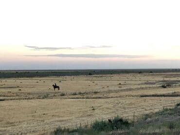 сдается 3 комнатная квартира: 40000 sot, Kənd təsərrüfatı, Mülkiyyətçi, Müqavilə — 11