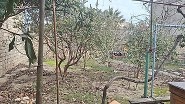 Qarajlar: Tikinti, Mülkiyyətçi — 2