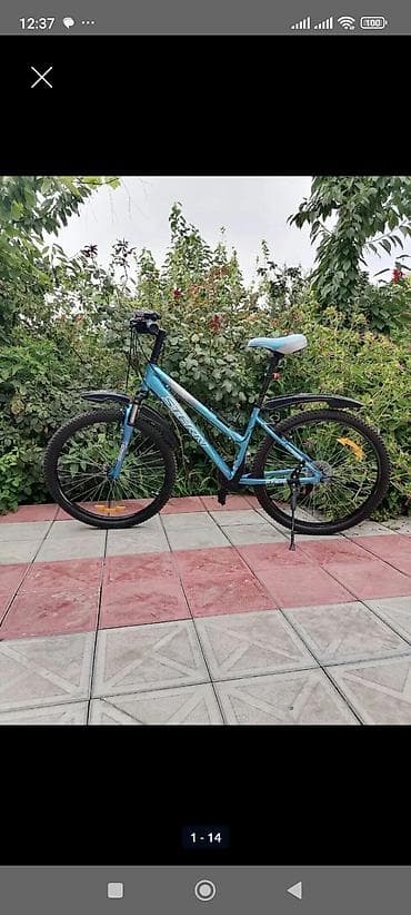 İdman velosipedləri: Stern dağ/şəhər tipli velosiped – 24" təkərlər, 16" ölçülü — 9