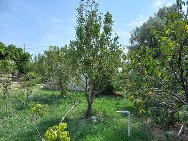 maşdağa həyət evləri: Zeynalabdin Tağıyev, 90 kv. m, 3 otaqlı, Hovuzsuz — 12