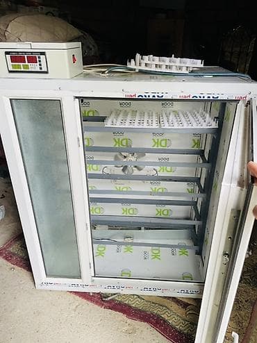 inqibator aparatı: 1056 ədəd tutumlu Tam avtomatik inkubator unversaldı 2 defe işlənir — 4