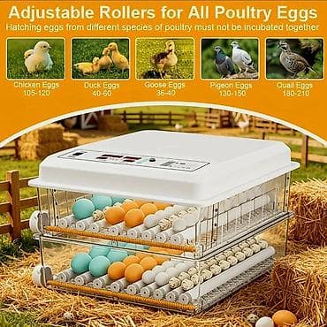 120 yumurtalı, ikiqat enerji mənbəli inkubator - 5 çıxartma rejimi: 4 — 2