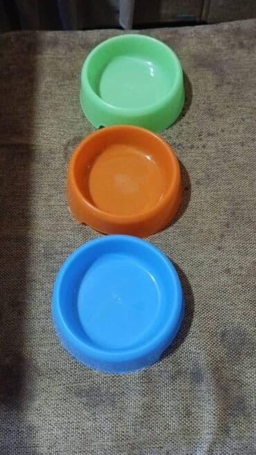 pişik yem qabı: Pişik və it oyuncaqları və aksesuarlar: sican - 2 AZN; dovşan - 6 — 11